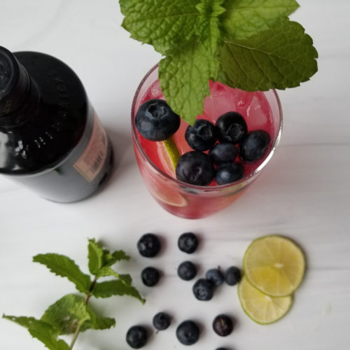 Blueberry Lime Gin and Tonic