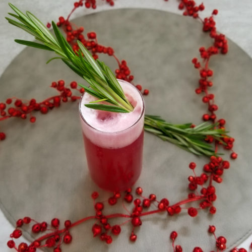 Cranberry Gin Fizz Cocktail