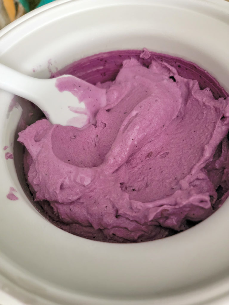 Fresh Blueberry Ice Cream - Casual Foodist