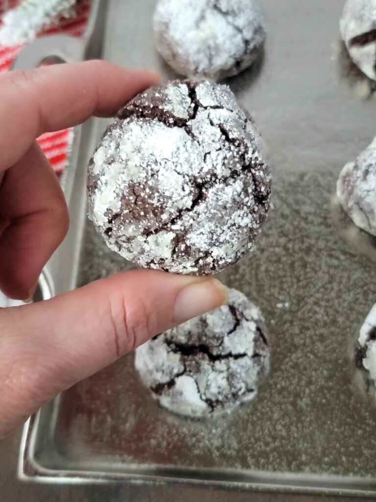 Peppermint Chocolate Crinkle Cookies 