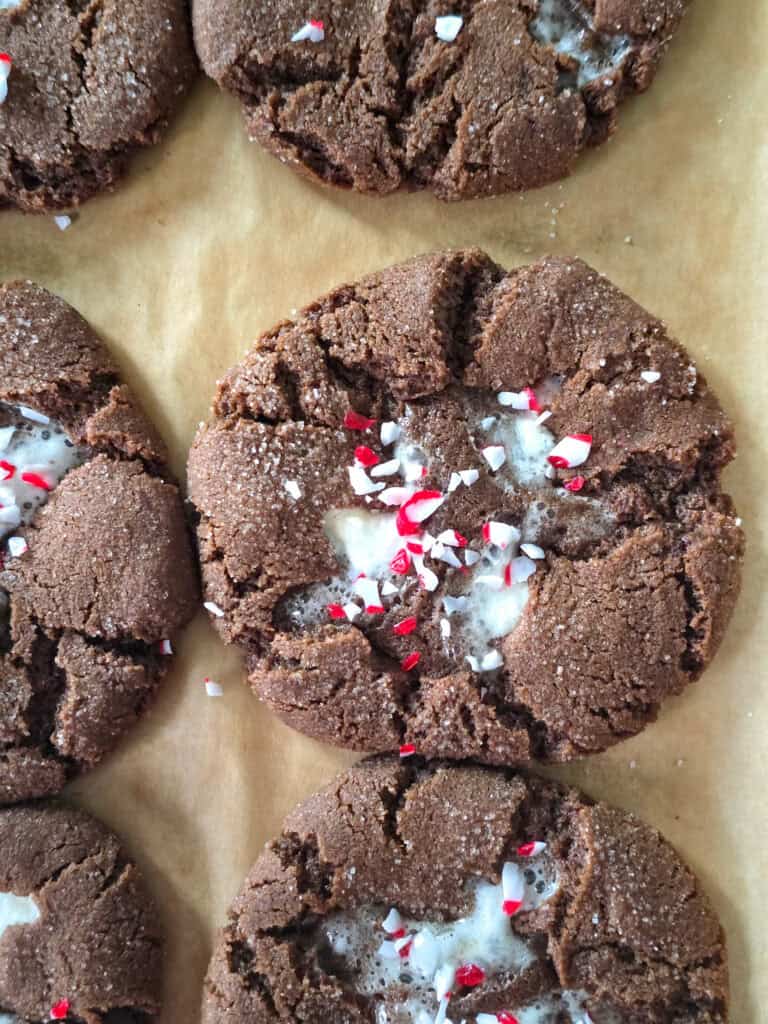 Peppermint Hot Chocolate Cookies