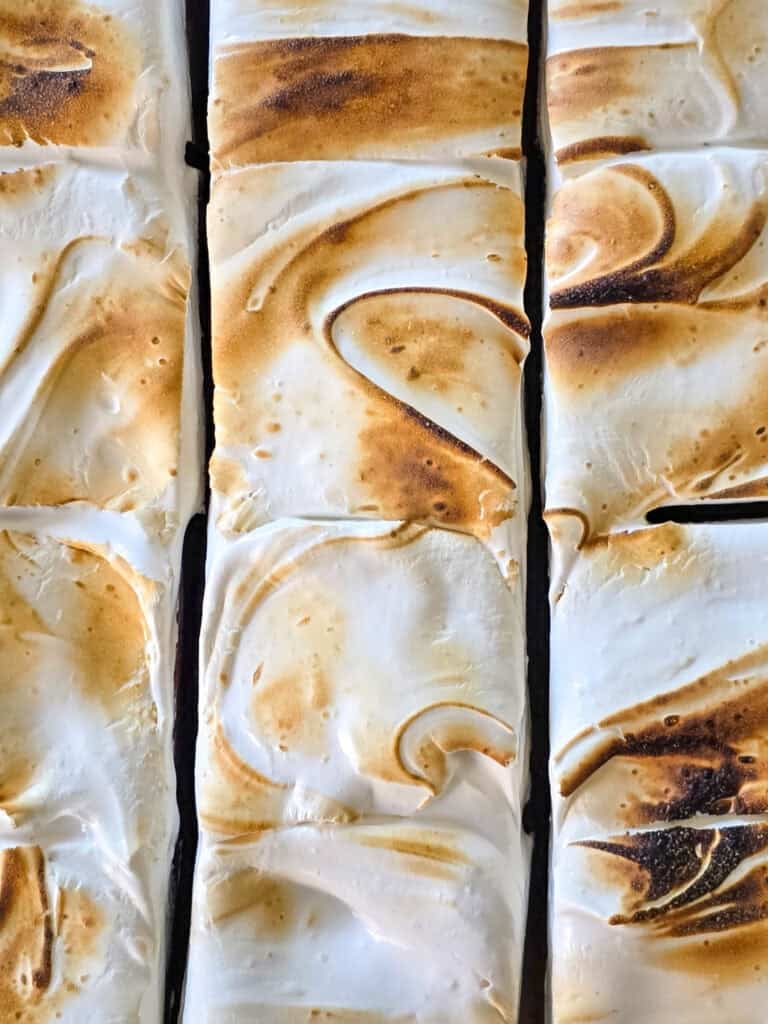 Fudgy Smores Bars