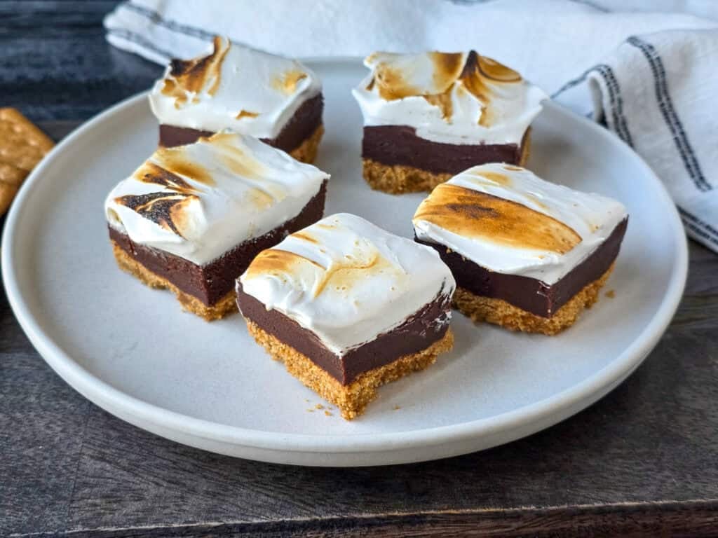 Fudgy Smores Bars
