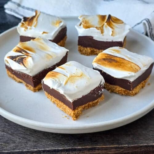 Fudgy Smores Bars