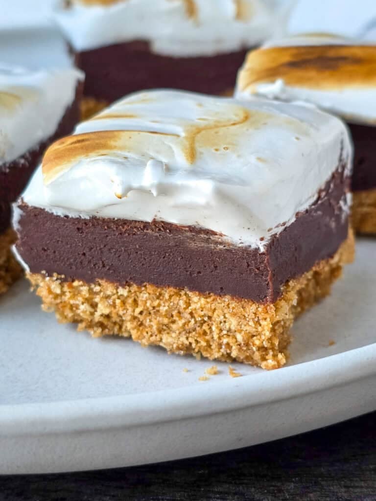 Fudgy Smores Bars