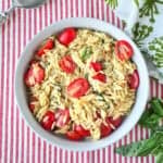 Tomato Basil Orzo