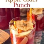 Cranberry Apple Cider Punch Pinterest Image