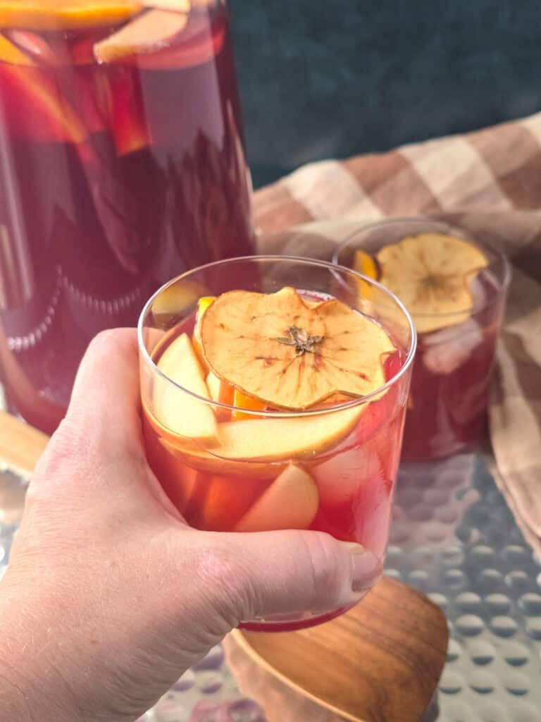 Cranberry Apple Cider Punch